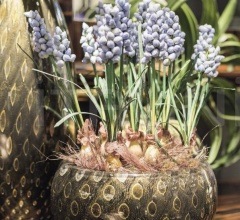 Ваза MOCENIGO SPHERE фабрика VGnewtrend