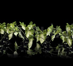 Ваза Giunone фабрика VGnewtrend