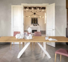 Стул Aragona Стул Aragona фабрика Tonin Casa