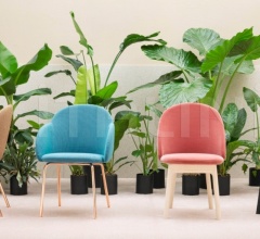 Стул IOLA Стул IOLA фабрика Miniforms