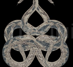 Ковер Snake Ковер Snake фабрика Roberto Cavalli