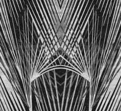 Ковер Charlize Ковер Charlize фабрика Roberto Cavalli