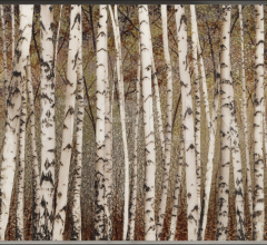 Итальянские Интерьерные декорации - Интерьерная декорация Birches Итальянские Интерьерные декорации - Интерьерная декорация Birches фабрика IPE Cavalli (Visionnaire)