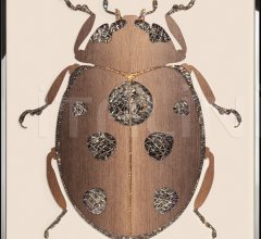 Итальянские Интерьерные декорации - Интерьерная декорация Beetle B Итальянские Интерьерные декорации - Интерьерная декорация Beetle B фабрика IPE Cavalli (Visionnaire)