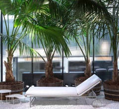 Итальянские Уличные шезлонги - Шезлонг Sale Итальянские Уличные шезлонги - Шезлонг Sale фабрика Living Divani