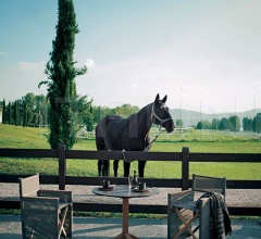 Итальянские Уличные столы - Стол ROOT 003 table Итальянские Уличные столы - Стол ROOT 003 table фабрика Roda