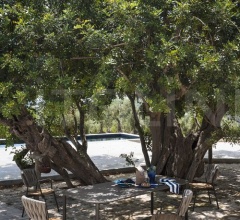 Итальянские Уличная мебель - Стул PIPER 221 armchair Итальянские Уличная мебель - Стул PIPER 221 armchair фабрика Roda