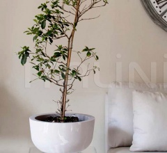 Кашпо Cup фабрика Serralunga