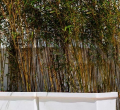 Кашпо Neoclassic Кашпо Neoclassic фабрика Serralunga