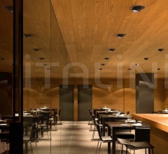 Потолочный светильник Anthony Downlight фабрика Flos