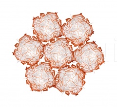 Итальянские Свет - Подвесной светильник VELI 7 фабрика Slamp