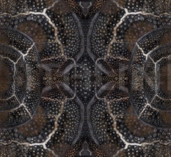 Ковер BLOOMING SEADRAGON фабрика Moooi