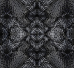 Ковер DWARF RHINO фабрика Moooi