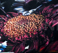 Ковер Fool’s Paradise Ковер Fool’s Paradise фабрика Moooi