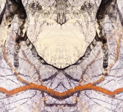 Ковер Diamond Tree Ковер Diamond Tree фабрика Moooi