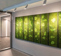 Потолочный светильник Pad Square Ceiling Потолочный светильник Pad Square Ceiling фабрика Artemide
