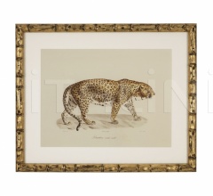 Итальянские Интерьерные декорации - Постер Lion, Tigre, Jaguar 111745 Итальянские Интерьерные декорации - Постер Lion, Tigre, Jaguar 111745 фабрика Eichholtz
