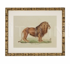 Итальянские Интерьерные декорации - Постер Lion, Tigre, Jaguar 111745 Итальянские Интерьерные декорации - Постер Lion, Tigre, Jaguar 111745 фабрика Eichholtz