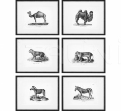 Итальянские Интерьерные декорации - Постер Historical Animal 112747 Итальянские Интерьерные декорации - Постер Historical Animal 112747 фабрика Eichholtz