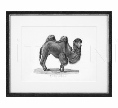 Итальянские Интерьерные декорации - Постер Historical Animal 112747 Итальянские Интерьерные декорации - Постер Historical Animal 112747 фабрика Eichholtz