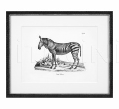 Итальянские Интерьерные декорации - Постер Historical Animal 112747 Итальянские Интерьерные декорации - Постер Historical Animal 112747 фабрика Eichholtz