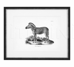 Итальянские Интерьерные декорации - Постер Historical Animal 112747 Итальянские Интерьерные декорации - Постер Historical Animal 112747 фабрика Eichholtz