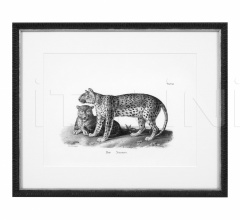 Итальянские Интерьерные декорации - Постер Historical Animal 112747 Итальянские Интерьерные декорации - Постер Historical Animal 112747 фабрика Eichholtz