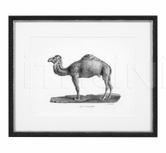 Итальянские Интерьерные декорации - Постер Historical Animal 112747 Итальянские Интерьерные декорации - Постер Historical Animal 112747 фабрика Eichholtz