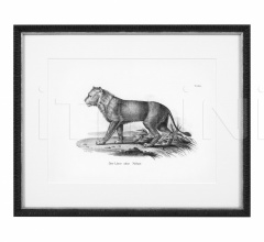 Итальянские Интерьерные декорации - Постер Historical Animal 112747 Итальянские Интерьерные декорации - Постер Historical Animal 112747 фабрика Eichholtz