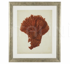Итальянские Интерьерные декорации - Постер Antique Red Coral 111741 Итальянские Интерьерные декорации - Постер Antique Red Coral 111741 фабрика Eichholtz