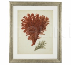 Итальянские Интерьерные декорации - Постер Antique Red Coral 111741 Итальянские Интерьерные декорации - Постер Antique Red Coral 111741 фабрика Eichholtz