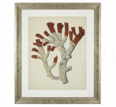 Итальянские Интерьерные декорации - Постер Antique Red Coral 111741 Итальянские Интерьерные декорации - Постер Antique Red Coral 111741 фабрика Eichholtz