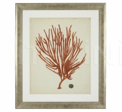 Итальянские Интерьерные декорации - Постер Antique Red Coral 111741 Итальянские Интерьерные декорации - Постер Antique Red Coral 111741 фабрика Eichholtz