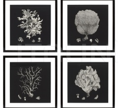 Итальянские Интерьерные декорации - Постер Black & Tan Coral 106545 Итальянские Интерьерные декорации - Постер Black & Tan Coral 106545 фабрика Eichholtz