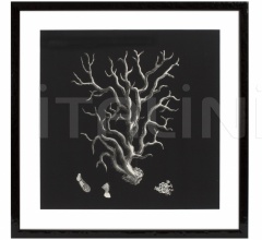 Итальянские Интерьерные декорации - Постер Black & Tan Coral 106545 Итальянские Интерьерные декорации - Постер Black & Tan Coral 106545 фабрика Eichholtz