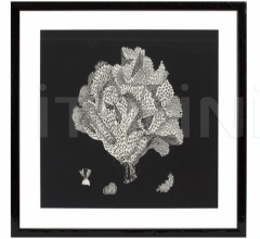 Итальянские Интерьерные декорации - Постер Black & Tan Coral 106545 Итальянские Интерьерные декорации - Постер Black & Tan Coral 106545 фабрика Eichholtz