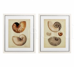 Итальянские Интерьерные декорации - Постер Antique Nautilus 110133 Итальянские Интерьерные декорации - Постер Antique Nautilus 110133 фабрика Eichholtz