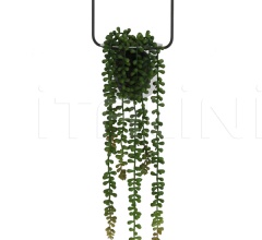 Подвесной светильник YAZLIN 2901627 Подвесной светильник YAZLIN 2901627 фабрика Light & Living