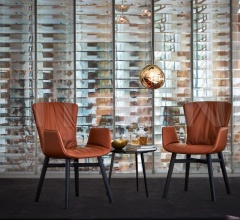 Стул с подлокотниками 2056-I DEXTER фабрика Draenert