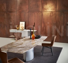 Стул с подлокотниками 2056-I DEXTER фабрика Draenert