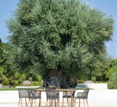 Итальянские Уличные столы - Стол обеденный LINK Итальянские Уличные столы - Стол обеденный LINK фабрика Varaschin