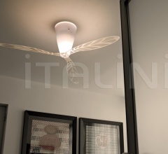 Потолочный светильник Blow Потолочный светильник Blow фабрика Luceplan