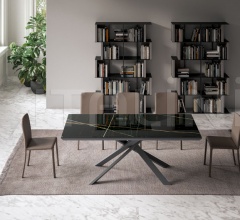 Стул LUNETTE PLUS Стул LUNETTE PLUS фабрика Ozzio