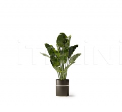 Итальянские Цветочные горшки - Горшок POT2/POT3 Итальянские Цветочные горшки - Горшок POT2/POT3 фабрика Bizzotto