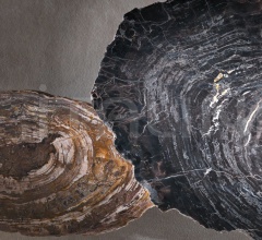 Кофейный столик ECH-56/ECH-56B/ECH-56C фабрика Jumbo Collection