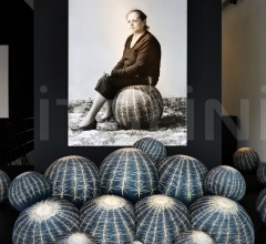 Диван Canape Cactus Диван Canape Cactus фабрика Baleri Italia