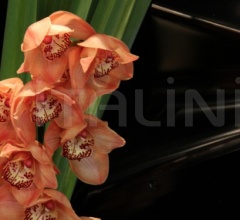 Настенное зеркало REVE Настенное зеркало REVE фабрика Koket