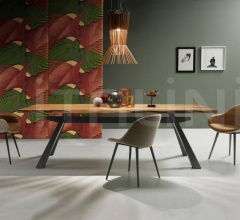 Кресло Sonny P Q фабрика Midj in Italy