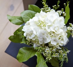 Тумбочка Cuatro фабрика Punt