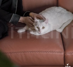 Модульный диван Elisir фабрика Calia Italia